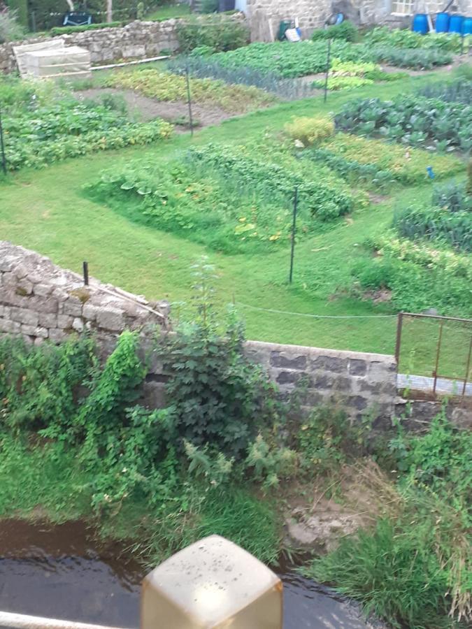 Appartement rez de chaussée avec terrasse et jardin Tence Esterno foto